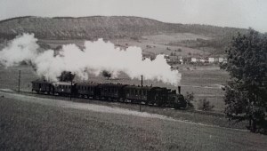 Ein Zug der Rühler Bimmel auf freier Strecke zwischen Wutha und Farnroda