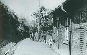 Einfahrt am Bahnhof Farnroda